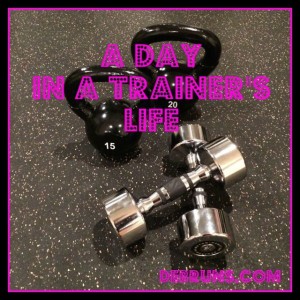 A Day In A Trainer’s Life