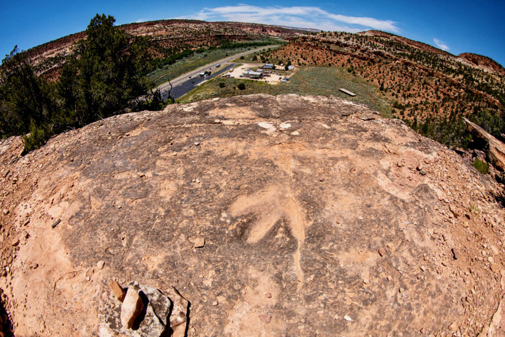 dinosaur track park